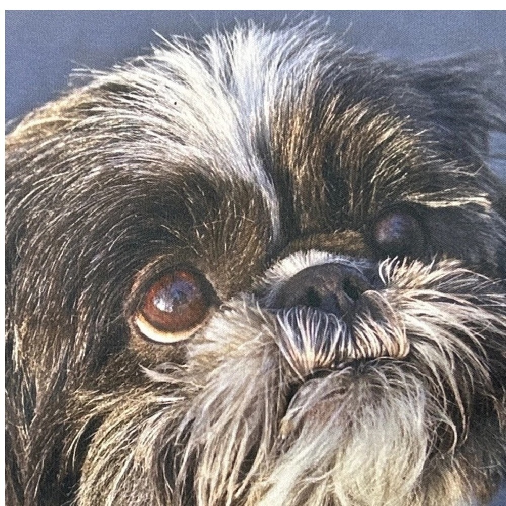 CafePress Shih Tzu Dog Photo Print Throw Pillow COVER ONLY Black Square Decor - Picture 3 of 8